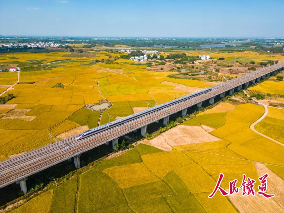 1676859812878052.jpg 44.jpg